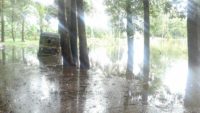 スタッフ日記：ケーララ豪雨災害の支援状況について